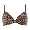 ANDRES SARDA Soutien-gorge coques Mars Chocolate